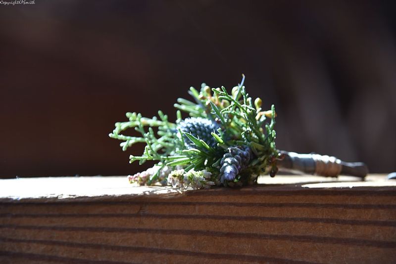 DSC_0720.jpg