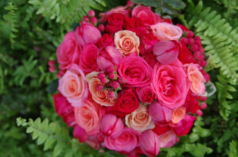 May23CoralBridalTop.jpg