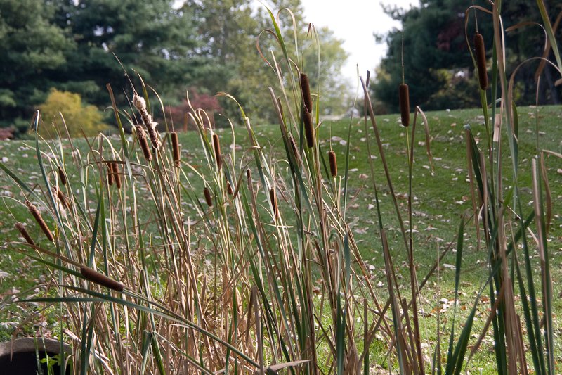 20081006-_MG_4199.jpg