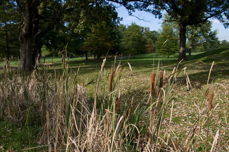 20081006-_MG_4206.jpg