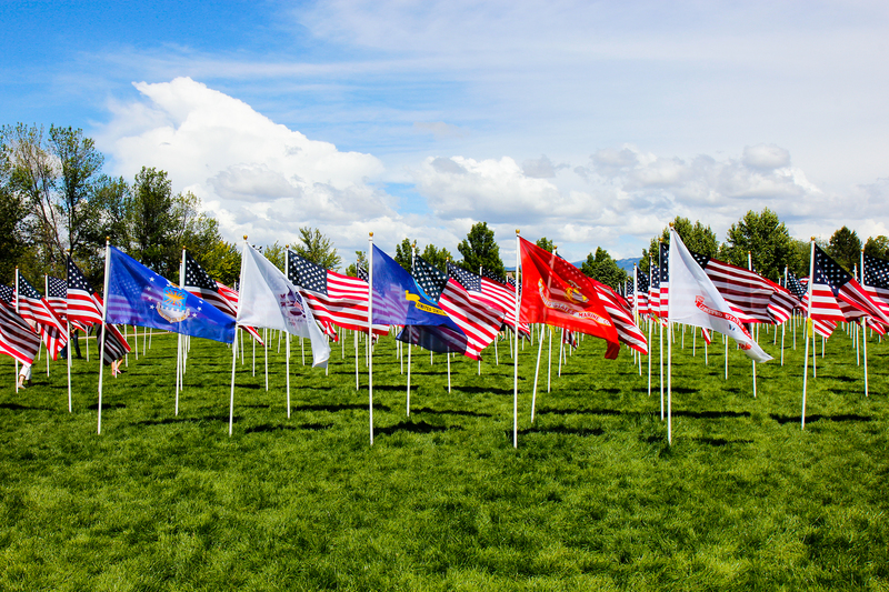 2020-11F Original.jpg