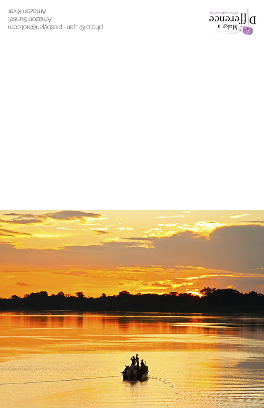 Amazon Sunset(1).jpg