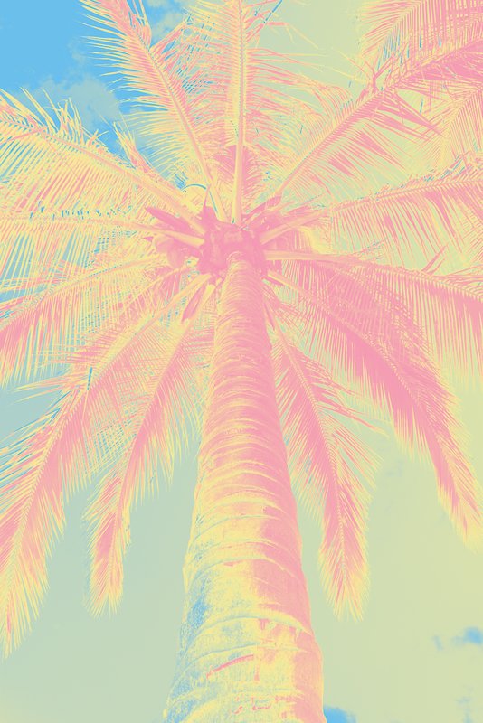 Blue Yellow Pink 2 Reverse.jpg