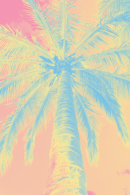 Blue Yellow Pink 2.jpg