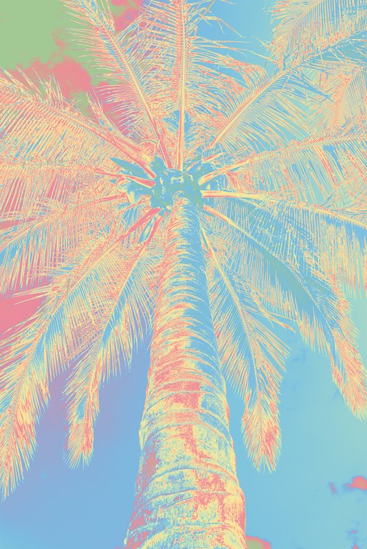 Blue Yellow Pink Reverse.jpg