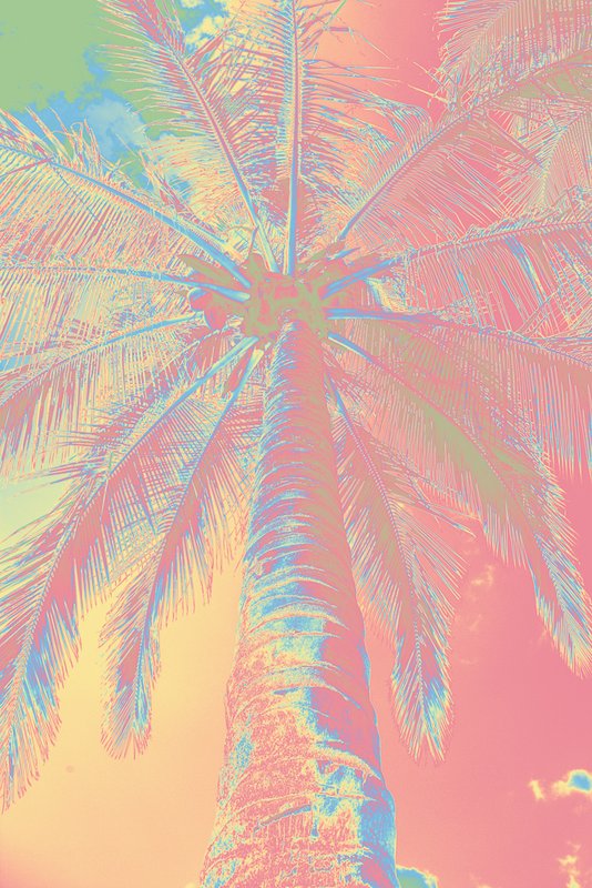 Blue Yellow Pink.jpg