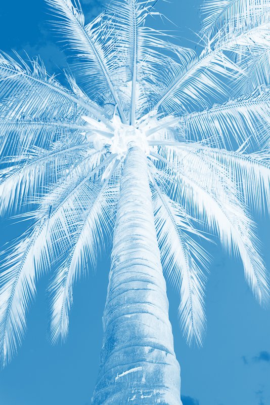 Blue.jpg