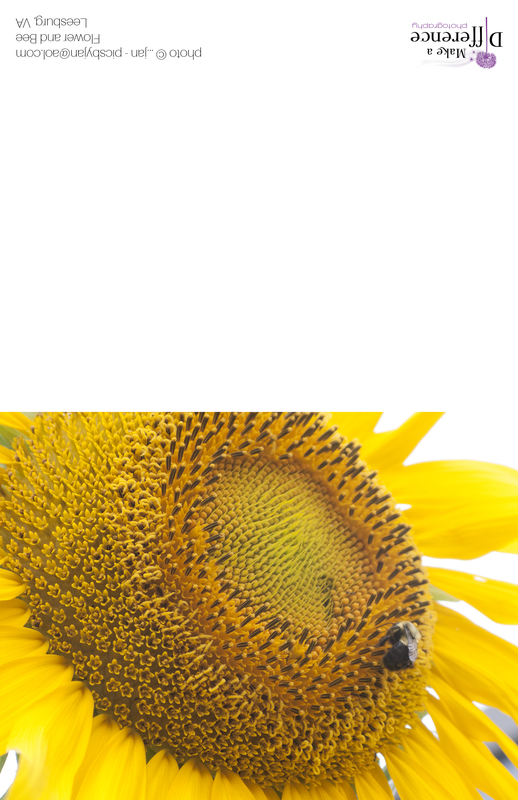 Flower and Bee(1).jpg