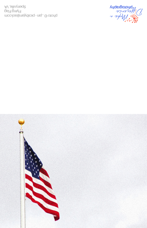 Flying Flag 2012 v2(1).jpg