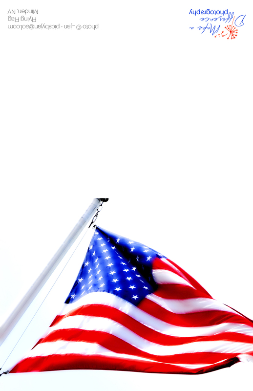 Flying Flag 2012.jpg