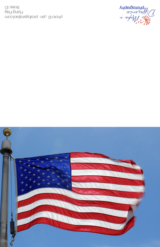 Flying Flag 2020.jpg