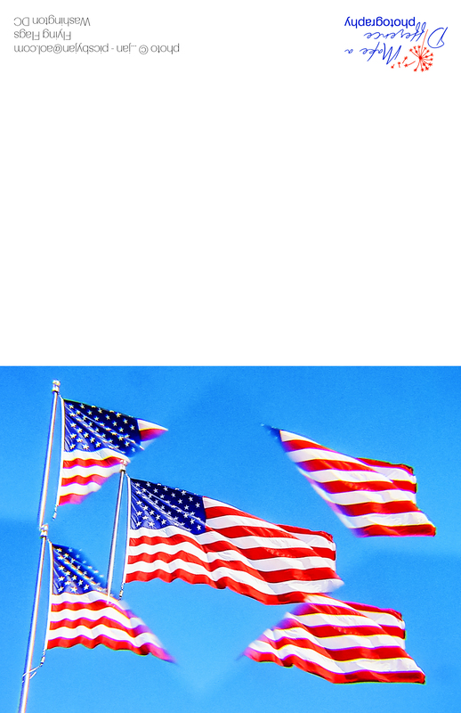 Flying Flags 2018.jpg