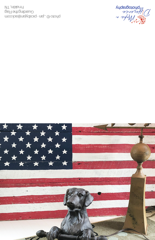 Guarding the Flag.jpg