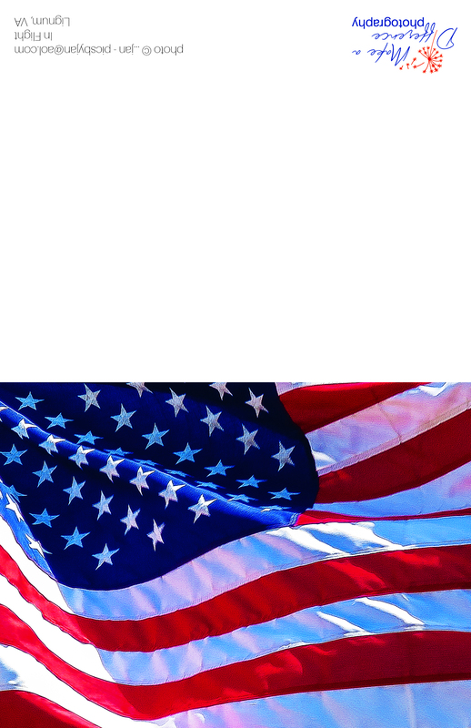 In Flight 2016(1).jpg