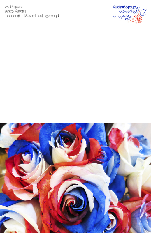 Liberty Roses(1).jpg