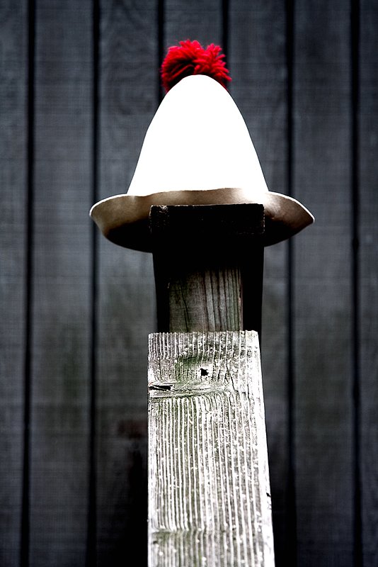 Lone Hat (94311).jpg