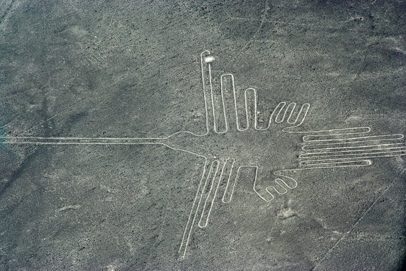 Nazca Hummingbird (0184).jpg