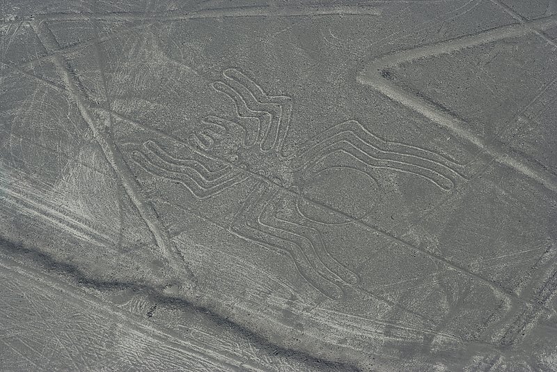 Nazca Spider (0175).jpg