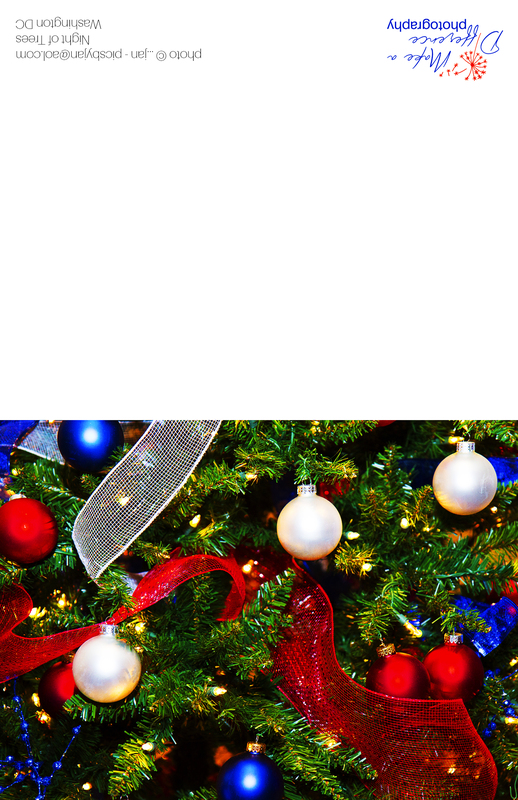 Night of Trees(1).jpg