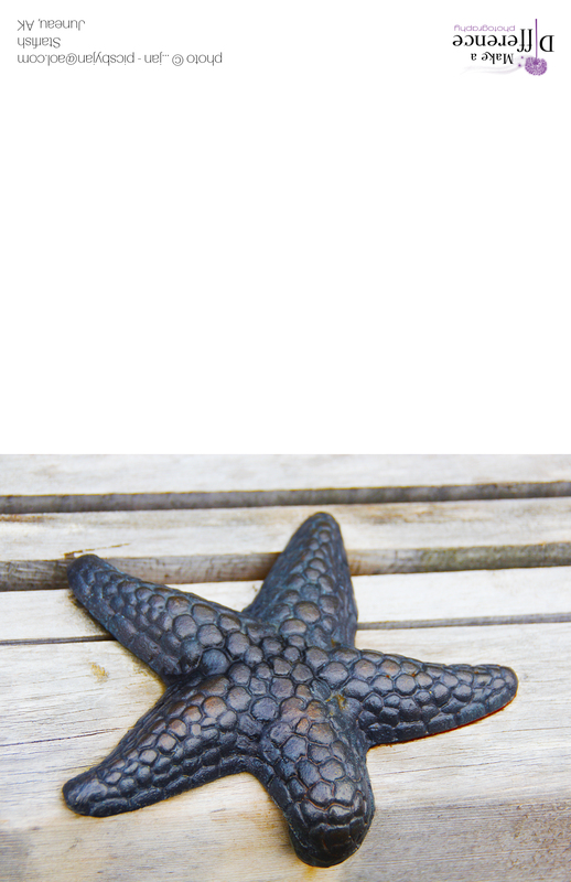 Starfish(1).jpg