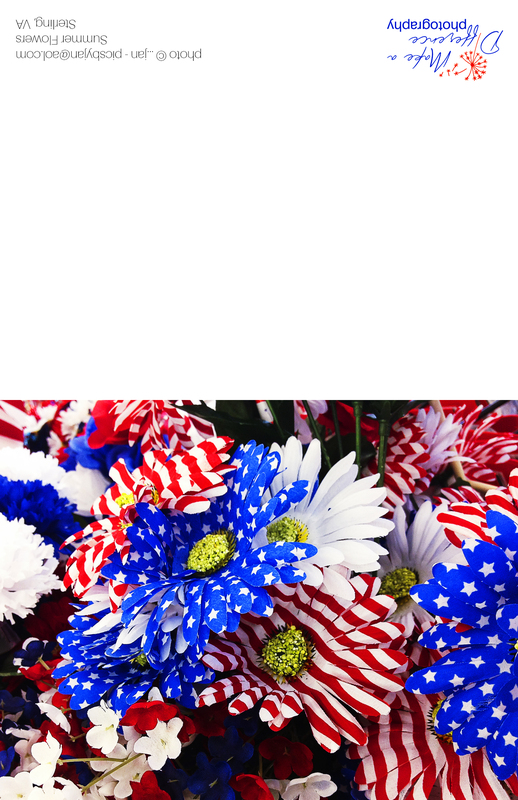 Summer Flowers(1).jpg