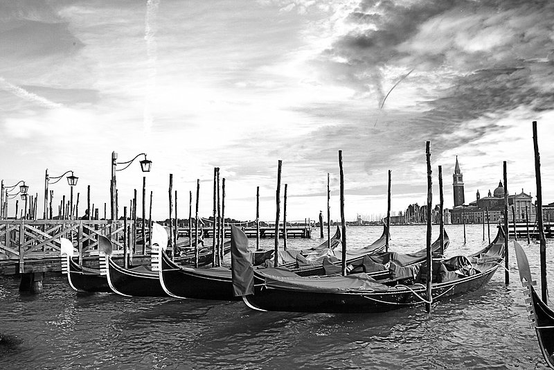 Venice Gondolas (3425).jpg