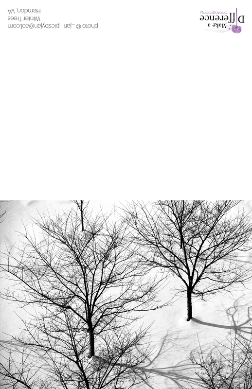 Winter Trees(1).jpg