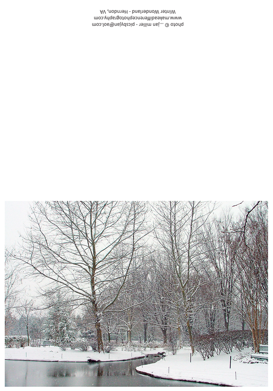 Winter Wonderland(1).jpg