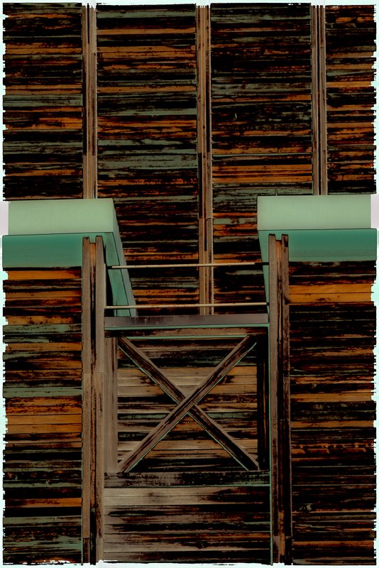 WolfTrap Back Art (94971).jpg