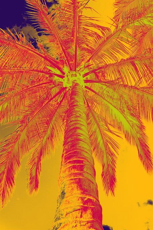 Yellow Green Red Orange Blue.jpg