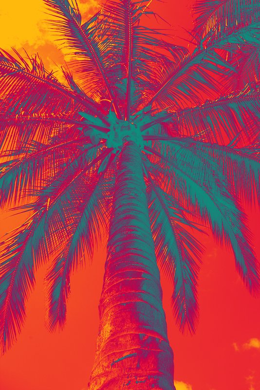 Yellow Magenta Teal Reverse.jpg