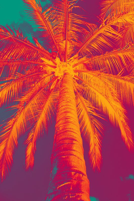 Yellow Magenta Teal.jpg