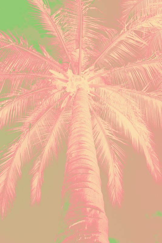 Yellow Pink Green.jpg