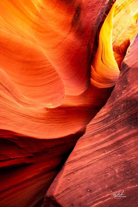Antelope 1(1).jpg