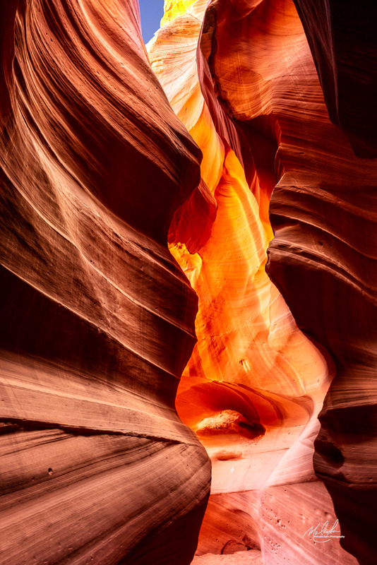 Antelope 4(1).jpg