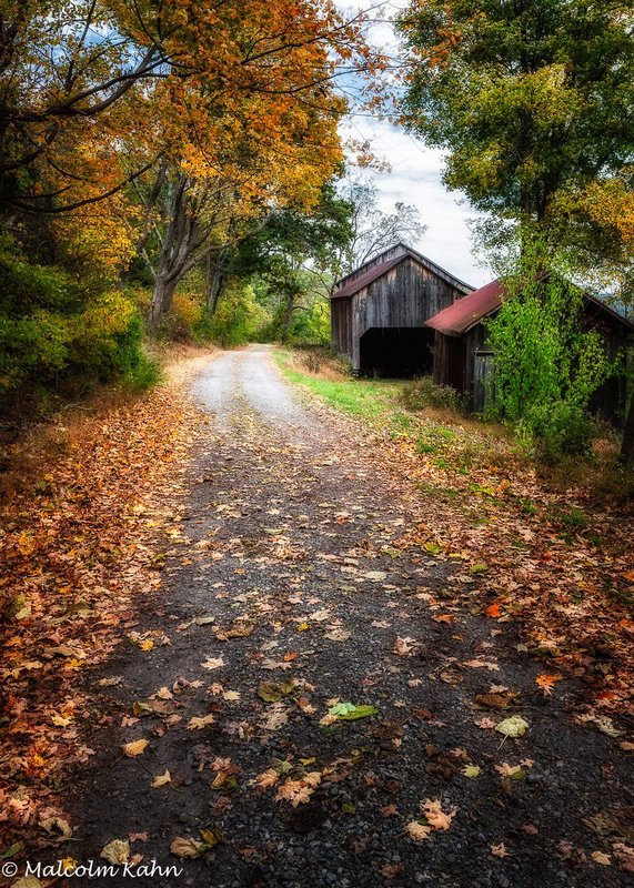 Barns with dirt road in fall color.jpg