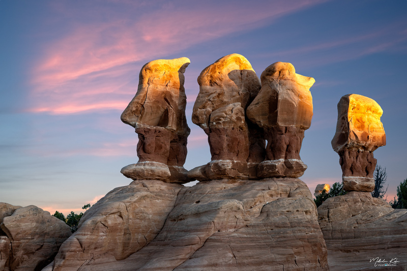 DSC04917-Edit-2-Edit-Edit Denoise.jpg