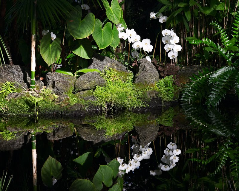 Reflecting Pool 3.jpg