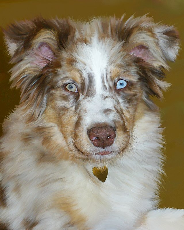 Stanly 9.jpg