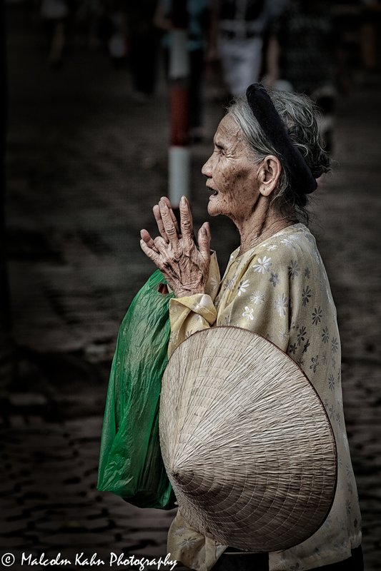 Vietnamese Woman.jpg