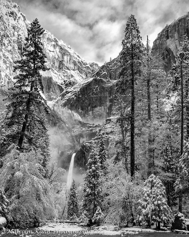 Yosemite Spring.jpg
