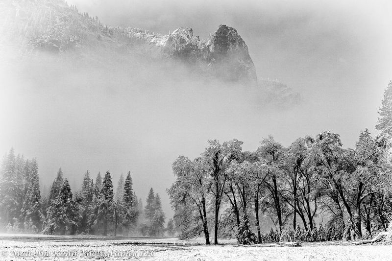 Yosemite 5-18-11-3264-BW1.jpg