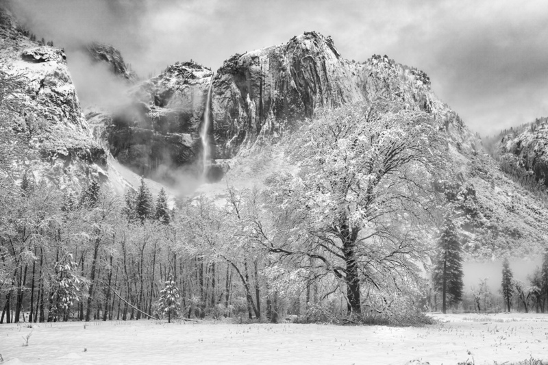Yosemite Falls.jpg