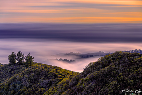 The Land Beyond (Choose Color or).jpg