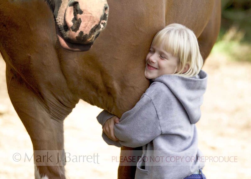 5585B.jpg :: Young girl hugs leg of Clydesdale Draft horse mare