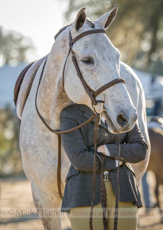 5683C(2).jpg :: Teen girlsand horses at show jumping event