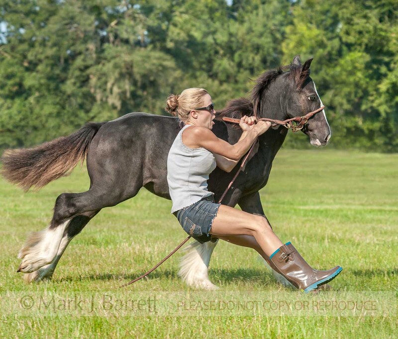 5796-6A(2).jpg :: Young woman pasture skiing while holding on to runaway horse colt foal