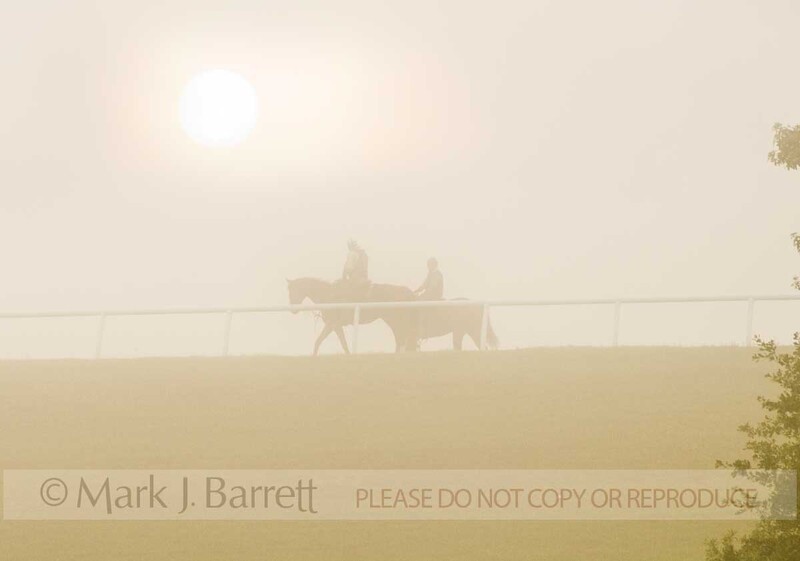 7253E1(1).jpg :: sunrise through early morning fog over Throoughbrd race training track