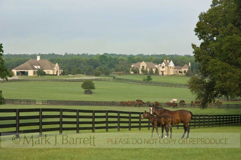 7262W(1).jpg :: Sprawling upscale Thoroughbred horse farm near Ocala, Fl;orida