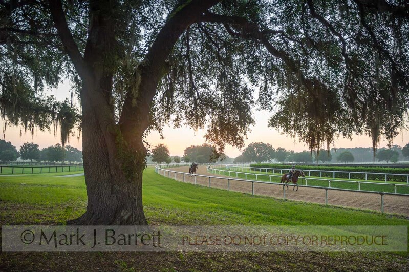7269A.jpg :: THOROUGHBRED HORSE RACE TRAINING TRACK WITH RIDERS AT SUNRISE